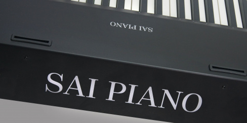 Sai Piano P-9BK Цифровое пианино, 88 клавиш, молоточковая механика, цвет черный фото 7