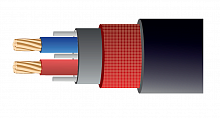 Xline Cables RMIC 2x0,25 PVC Кабель микрофонный 2x0,25мм Бухта 100м