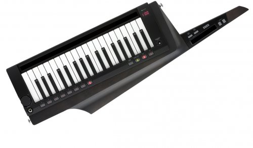 KORG RK100S-2 RD программируемый аналоговый синтезатор-клавитара фото 3