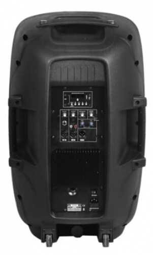B&G LF-15AU Акустическая система активная, 150Вт RMS, класс AB, 15"+1", USB, MP3,SD,BT фото 2