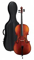 GEWA Cello outfit Europe 1/2 Виолончель в комплекте (GS403223)