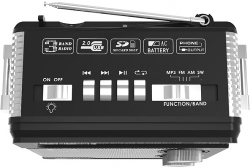 RITMIX RPR-202 BLACK ФМ/АМ/СВ 3-х диапазонное радио (ФМ: 88-108 МГц), с разъемом для наушников, с разъемом ЮСБ/СД/микроСД, c возможностью зарядки, вст фото 5
