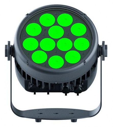 STAGE4 REPAR 12x10FAU IP Светодиодный всепогодный светильник сценических эффектов, LED PAR, источник света 12*10 Вт RGBWAUv, DMX-512 4/8кан., строб, д фото 2
