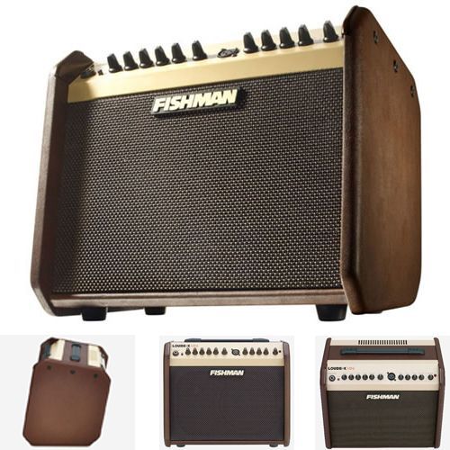 Fishman PRO-LBX-EU5 LoudBox Mini, комбо для акустической гитары, 60Вт