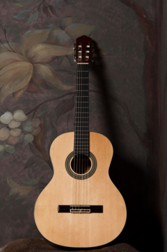 FLIGHT C-250 NA классическая гитара, верхн. дека-ель, корпус-сапеле, цвет натурал фото 7