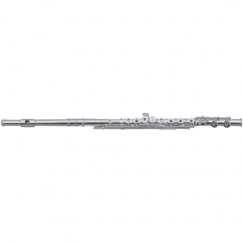 ROY BENSON FL-602E флейта (Ми-механика) (RB700432)