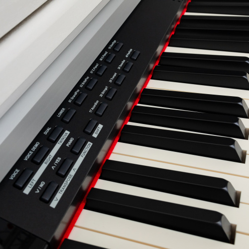 ROCKDALE Overture White цифровое пианино с автоаккомпанеметом, 88 клавиш, цвет белый фото 10