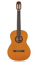 CORDOBA PROTG C1M классическая гитара, корпус махогани, верхняя дека ель, цвет натуральный, покрыти