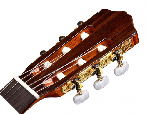 CORDOBA IBERIA C5 Limited классическая гитара, корпус узорчатый махогани, верхняя дека массив кедра, цвет натуральный фото 2