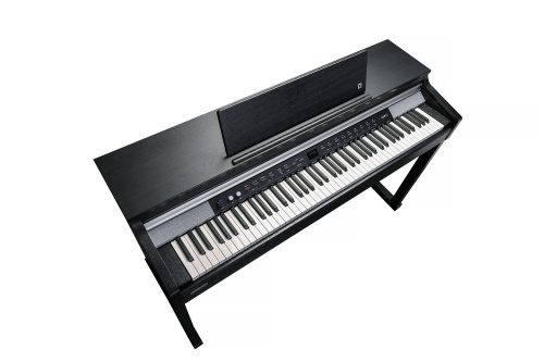 Kurzweil CUP P1 SR Цифровое пианино, 88 молоточковых клавиш, полифония 256, цвет палисандр фото 2