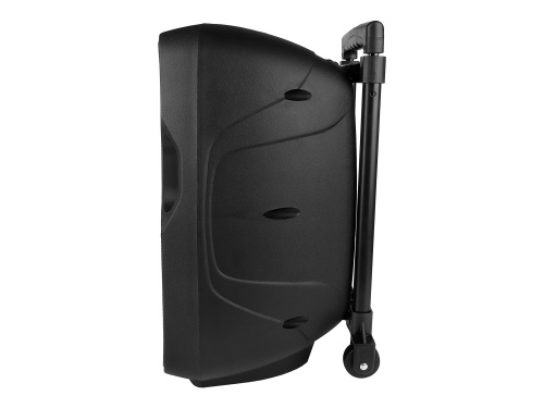 Gemini AS-10TOGO Портативная акустическая система, 10" вуфер, bluetooth, USB. SD фото 13