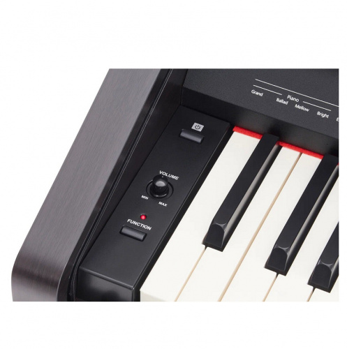 Roland RP30 цифровое пианино, 88 клавиш, 128 полифония, 15 тембров фото 4