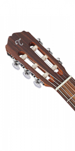 TAKAMINE G-SERIES CLASSICAL GC1-NAT классическая гитара, цвет натуральный, нижняя дека и обечайка - махогани, верхняя дека - ель, гриф - махогани, нак фото 3