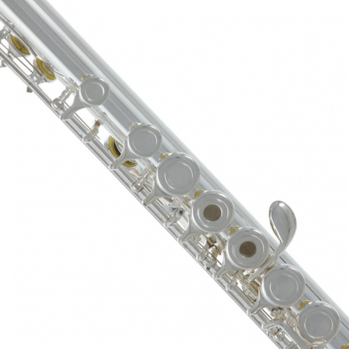 ROY BENSON FL-402R флейта (открытые клапана в линию) (RB700407) фото 2