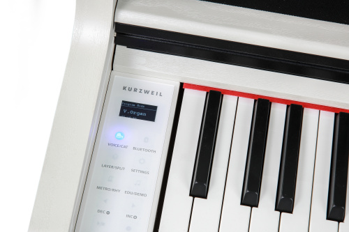 Kurzweil CUP410 WH Цифровое сценическое пианино, 88 молоточковых клавиш, полифония 256, цвет белый фото 2