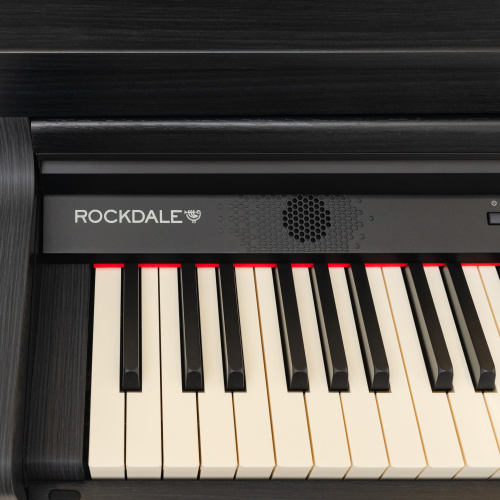 ROCKDALE Overture Black цифровое пианино с автоаккомпанеметом, 88 клавиш, цвет черный фото 9