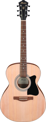 IBANEZ VC50NJP-OPN акустическая гитара