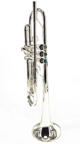 Brasspire BPTR-770S Труба Bb с реверсивным настроечным кроном, мензура: 11,65 мм (ML), диаметр раструба: 125 мм, серебряное покрытие всего инструмента фото 3