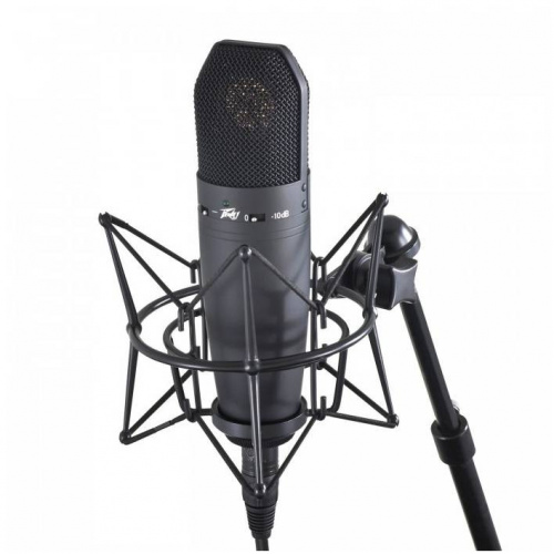 PEAVEY Studio Pro M1 Конденсаторный кардиоидный студийный микрофон, жесткий кейс в комплекте фото 3