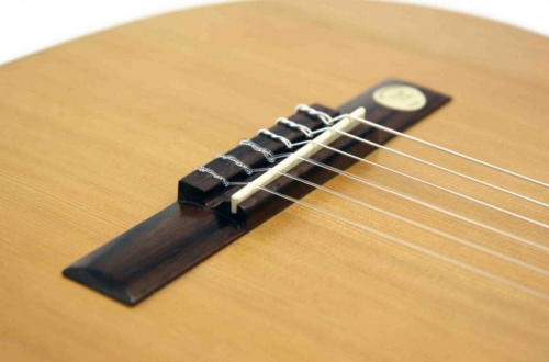 PRO ARTE GC 240 II гитара классическая, верхняя дека массив кедра, матовый лак фото 5