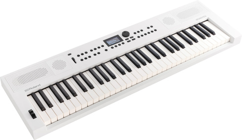 ROLAND GO:KEYS-5-WH Интерактивный синтезатор, 61 клавиша, цвет белый