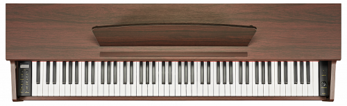 Becker BDP-92R, цифровое пианино, цвет палисандр, клавиатура 88 клавиш с молоточками фото 2