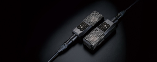 LEWITT LCT640TS студийный конденсаторный микрофон с большой диафрагмой. фото 6