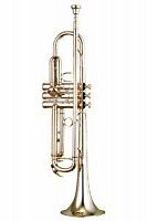Yamaha YTR-6345GS труба Bb профессиональная, gold brass, посеребренная