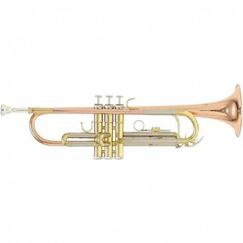 ROY BENSON TR-202G Bb труба (цвет золото) (RB701075)