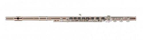 Powell HC A9 2B%F SPE C/HM HJ A9 9KL AGW P Флейта Handmade Conservatory, позолоченные (9К) корпус и