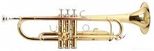ROY BENSON TR-101 Bb труба (цвет золото) (RB701050)