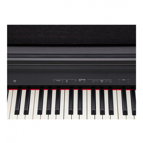 Roland RP30 цифровое пианино, 88 клавиш, 128 полифония, 15 тембров фото 5