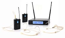 AuraSonics STAGE 202 PRESENTER радиосистема цифровая, двухканальная, 660-690МГц