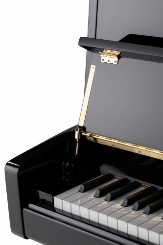 Sam Martin UP110B Пианино акустическое, 88 клавиш, высота 110мм, цвет черный, фурн. золото, банкетка фото 3