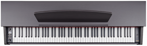 Becker BDP-82R, цифровое пианино, цвет палисандр, клавиатура 88 клавиш с молоточками фото 2