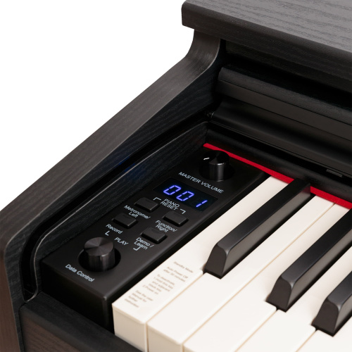 ROCKDALE Keys RDP-5088 black цифровое пианино, 88 клавиш, цвет черный фото 8