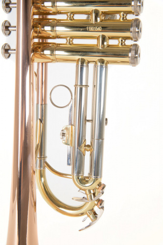 ROY BENSON TR-202G Bb труба (цвет золото) (RB701075) фото 8