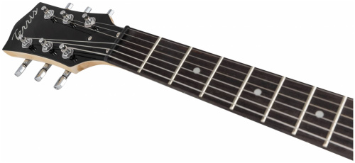 TERRIS TLP-039 LB электрогитара Les Paul, HH, 2V2T, цвет морской волны фото 3