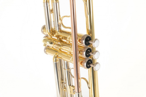 ROY BENSON TR-202 Bb труба (цвет золото) фото 7