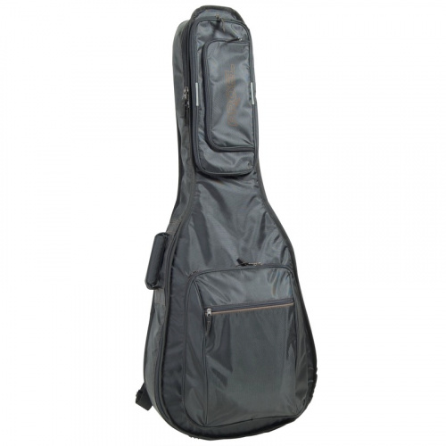 Proel BAG210PN Чехол утеплённый для акустической и 12 стр. гитары, 2 кармана, ремни.