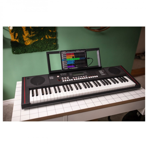 Roland E-X10 синтезатор с автоаккомпанементом, 61 клавиша, 64 полифония, 207 стилей, 610 тембров фото 14