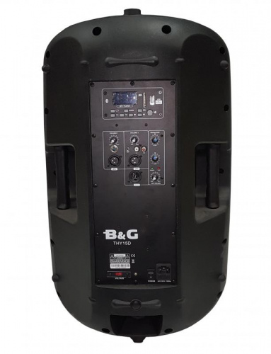 B&G THY-15DE Акустическая система активная, 250Вт RMS, классAB, 15"+1", USB, MP3, SD, BT, эффект Echo фото 2