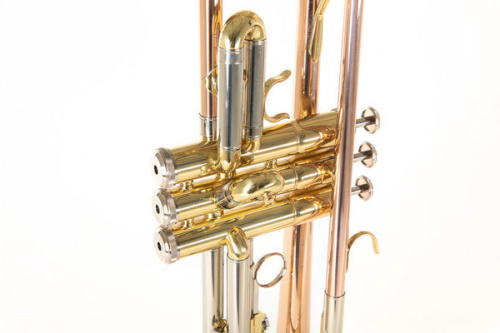 ROY BENSON TR-202G Bb труба (цвет золото) (RB701075) фото 10