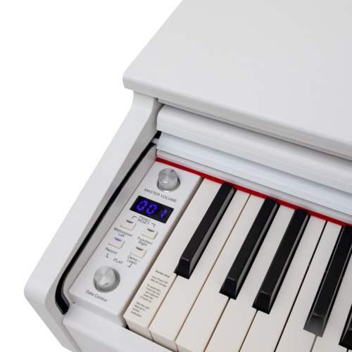 ROCKDALE Etude 128 Graded White цифровое пианино, 88 клавиш, цвет белый фото 10