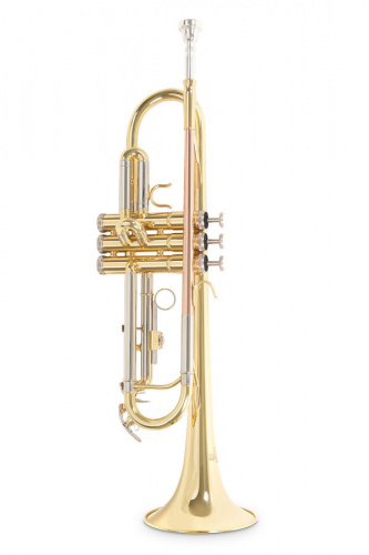 ROY BENSON TR-202 Bb труба (цвет золото) фото 2