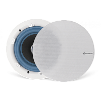 Relacart RDA-10 Потолочная акустическая система 6.25",PoE 10Вт PoE+20Вт, 90-16КГц, Dante, белый цвет