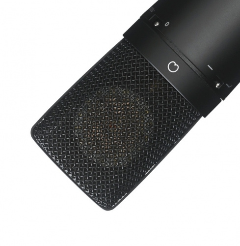 TASCAM TM-180 студийный конденсаторный микрофон с позолоченной мембраной 34 мм, кардиоида, пластиковый кейс фото 2