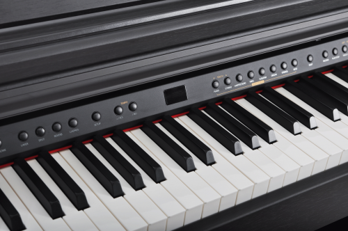 Artesia DP-3 Rosewood Satin Цифровое фортепиано. Клавиатура: 88 динамич. молот.  взвеш. клавиш фото 7