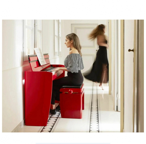 Dexibell VIVO H10 DRP цифровое пианино, 88 клавиш, цвет тёмно-красный полированный фото 5