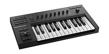 Native Instruments KOMPLETE KONTROL A25 25 клавишная полувзвешенная динамическая MIDI клавиатура, 8